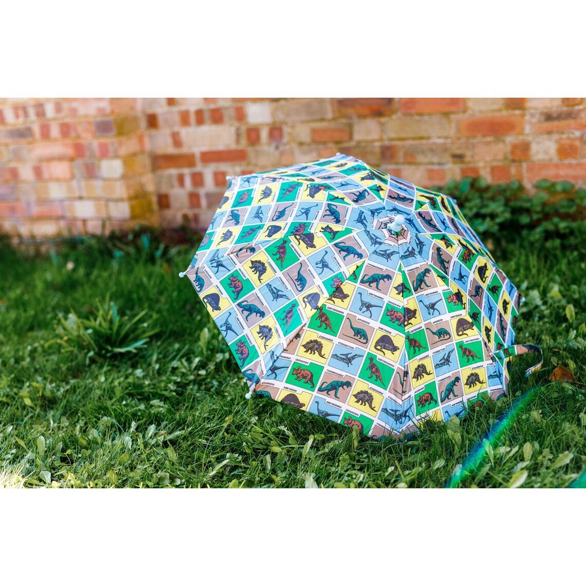 Personalised Kids Dino Dinosaur Umbrella