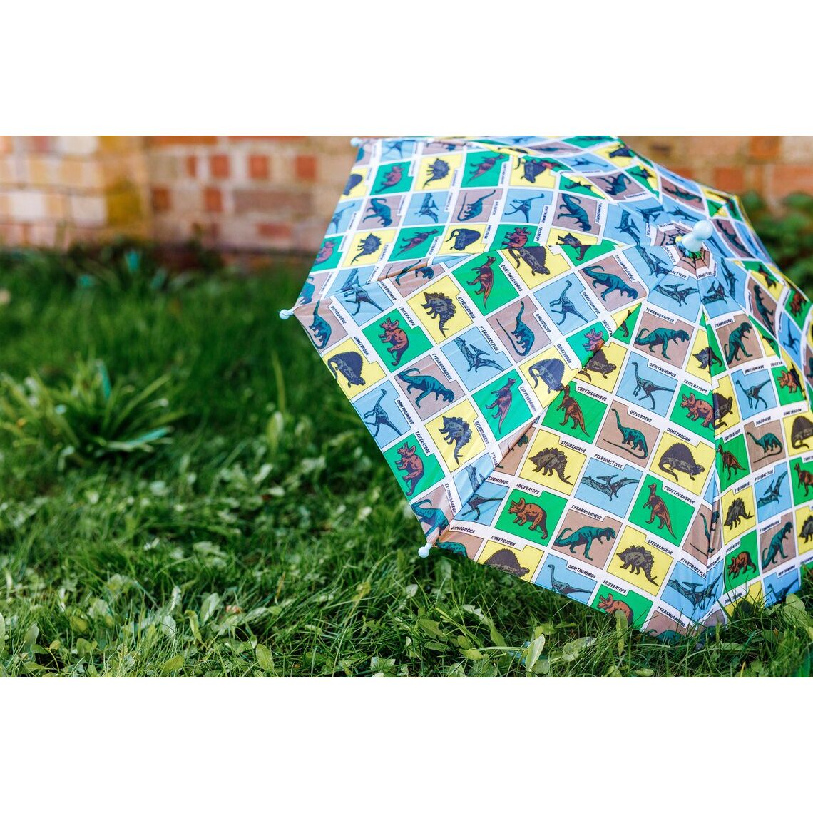 Personalised Kids Dino Dinosaur Umbrella