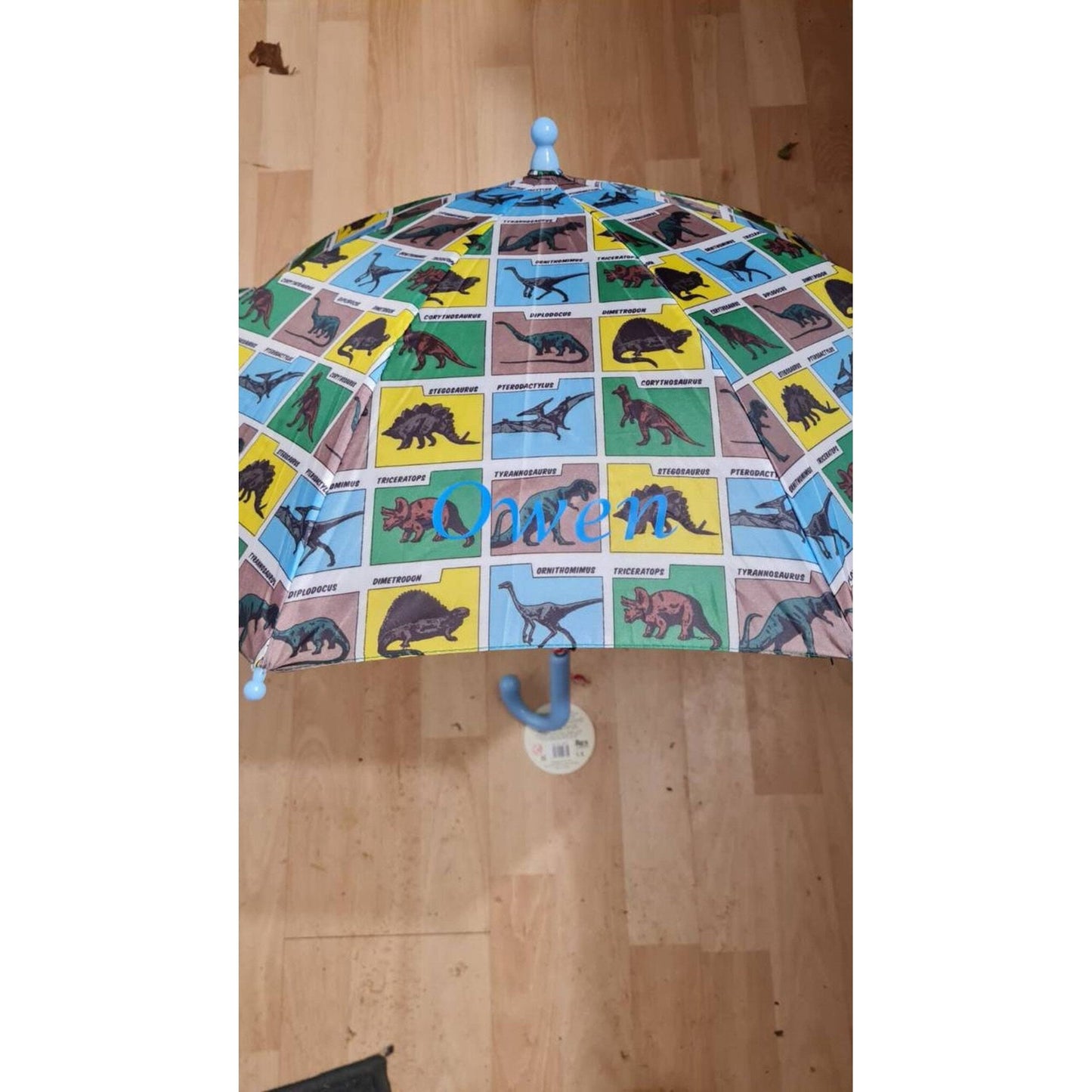 Personalised Kids Dino Dinosaur Umbrella